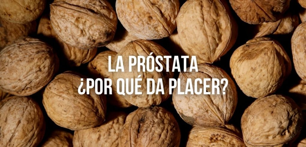 foto con muchas nueces y un cartel que reza "la próstata ¿por qué da placer?"